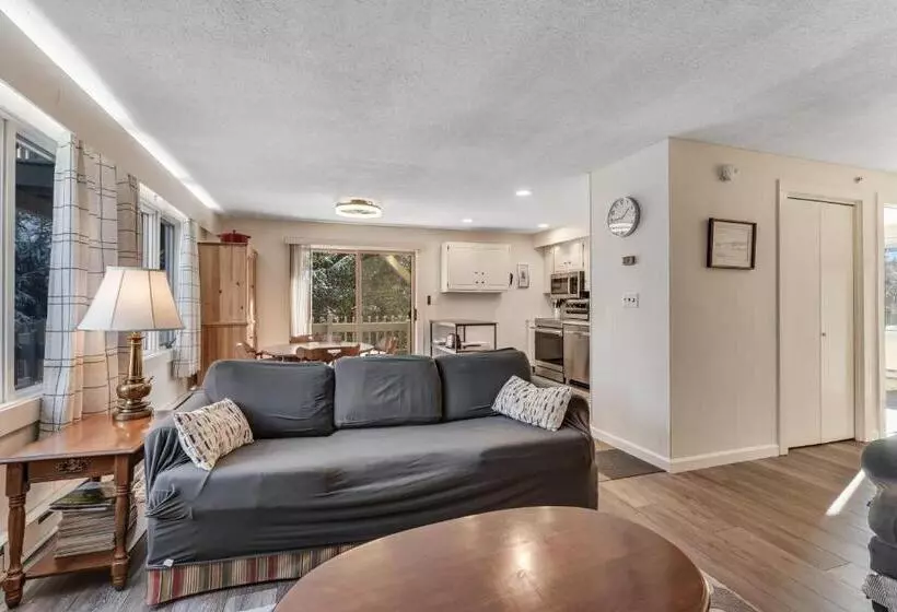 ホテル Bromley Mountain Condo