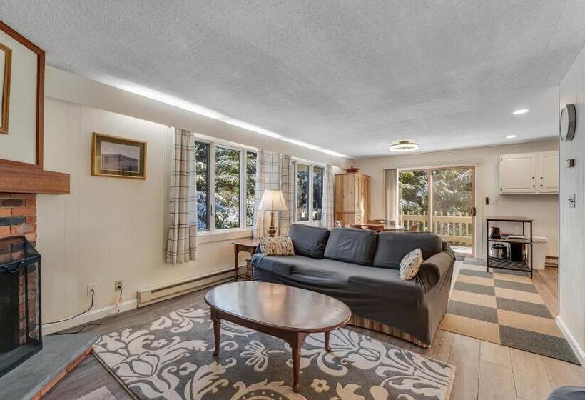 酒店 Bromley Mountain Condo