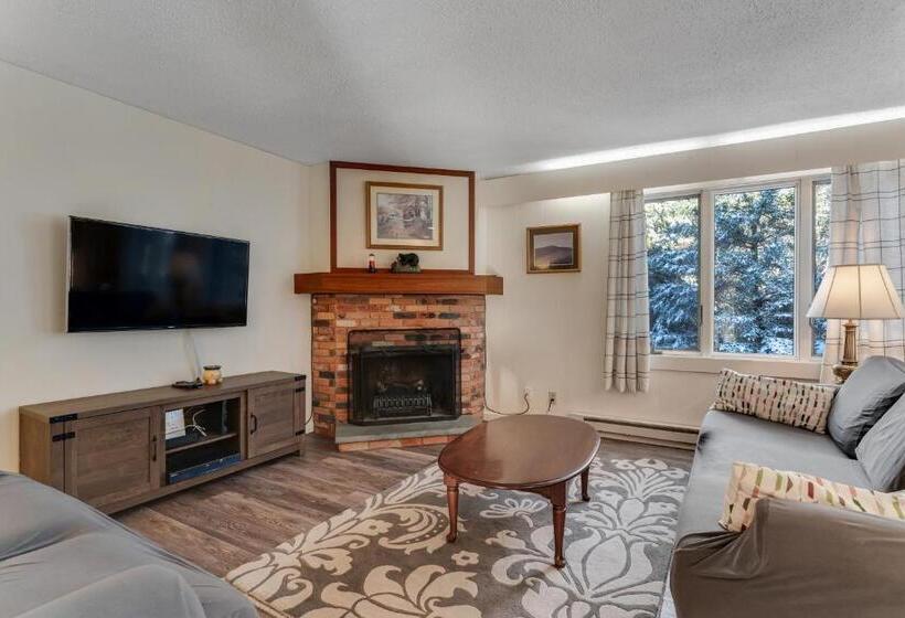 酒店 Bromley Mountain Condo