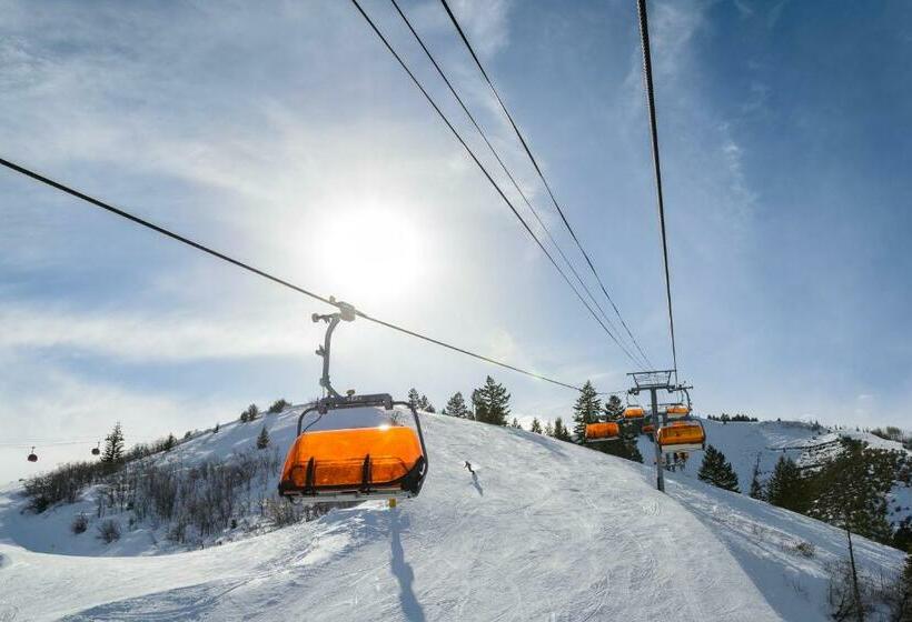 酒店 Deer Park Dream