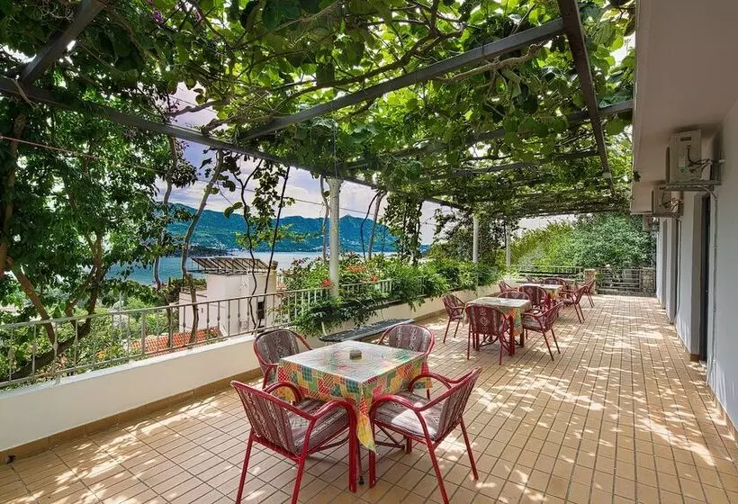 هتل Madra Rooms & Apartments