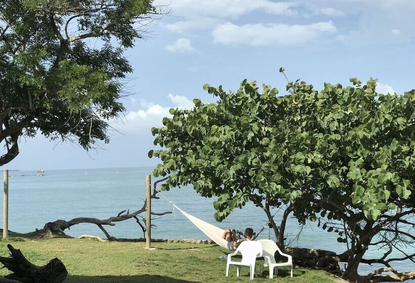 هتل Punta Nativa Eco