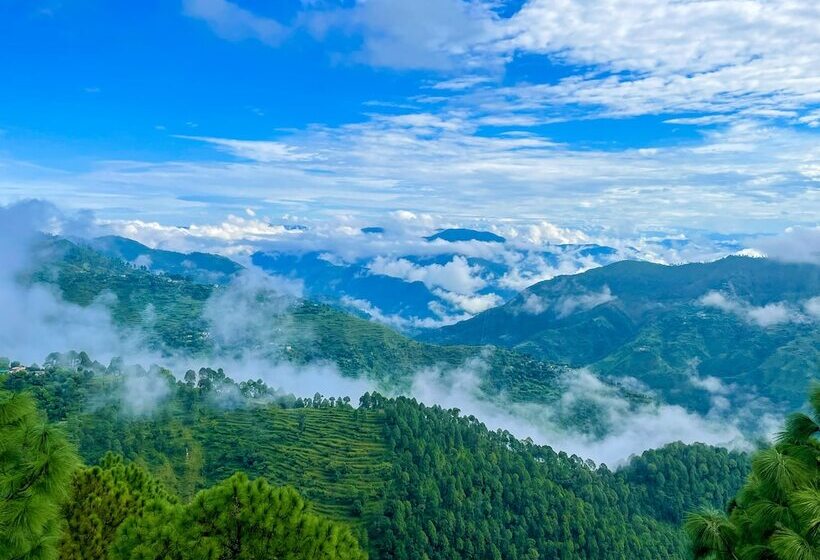 Отель The Woods Retreat