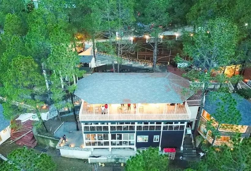 ホテル The Woods Retreat