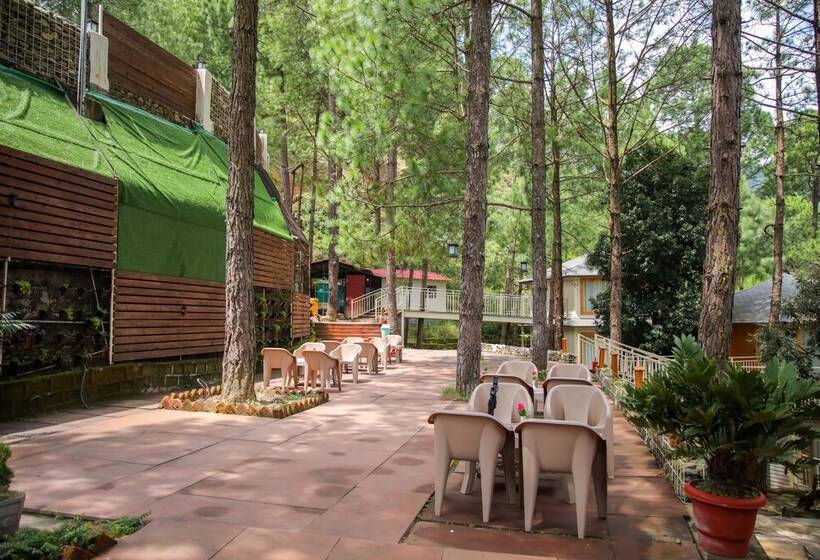 Отель The Woods Retreat