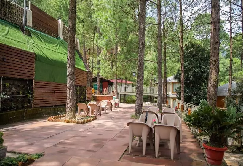 ホテル The Woods Retreat