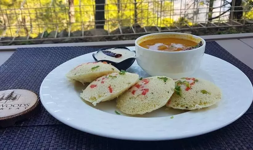 ホテル The Woods Retreat