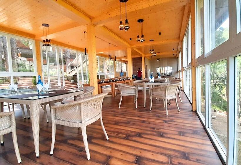 Отель The Woods Retreat