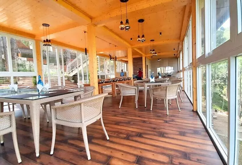 ホテル The Woods Retreat