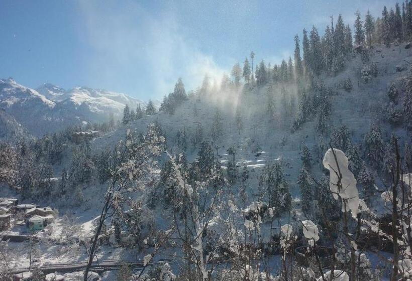 Attic Monkey Hostel Old Manali