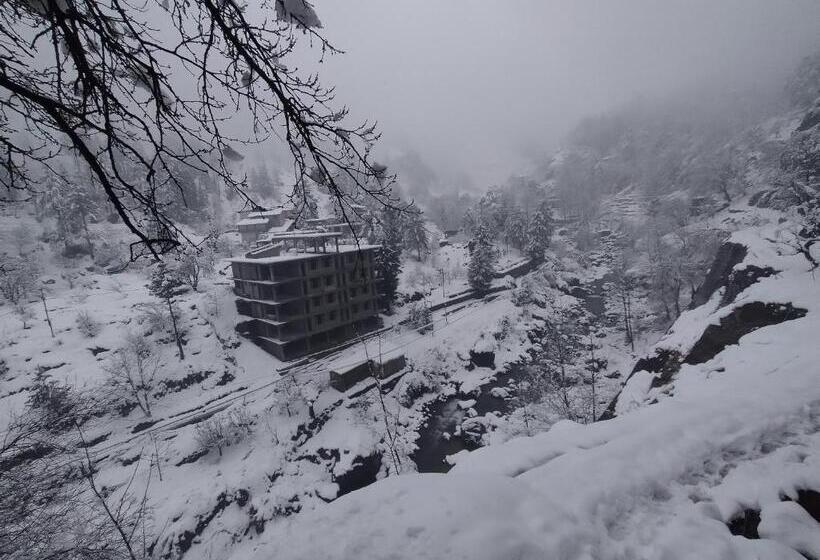 Attic Monkey Hostel Old Manali