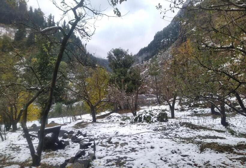 Attic Monkey Hostel Old Manali