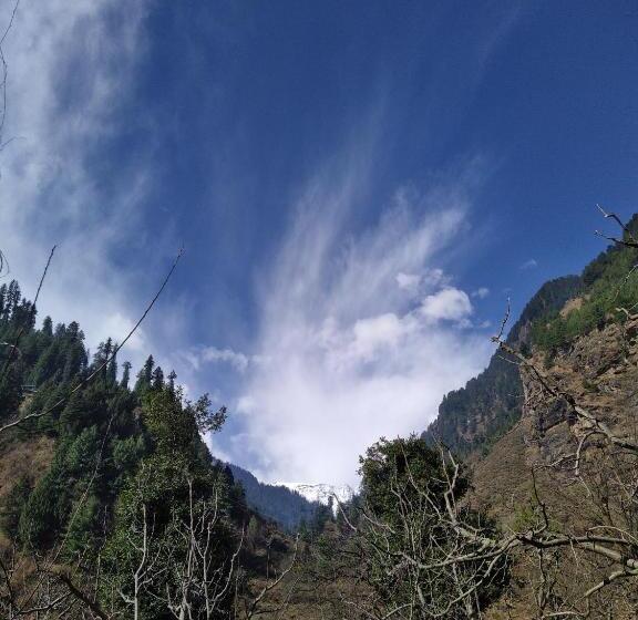 Attic Monkey Hostel Old Manali