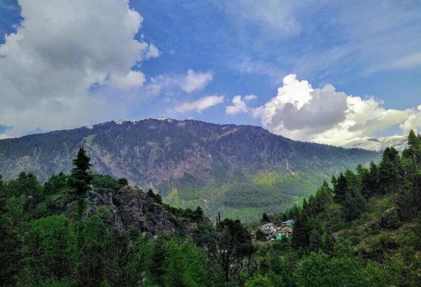 Attic Monkey Hostel Old Manali