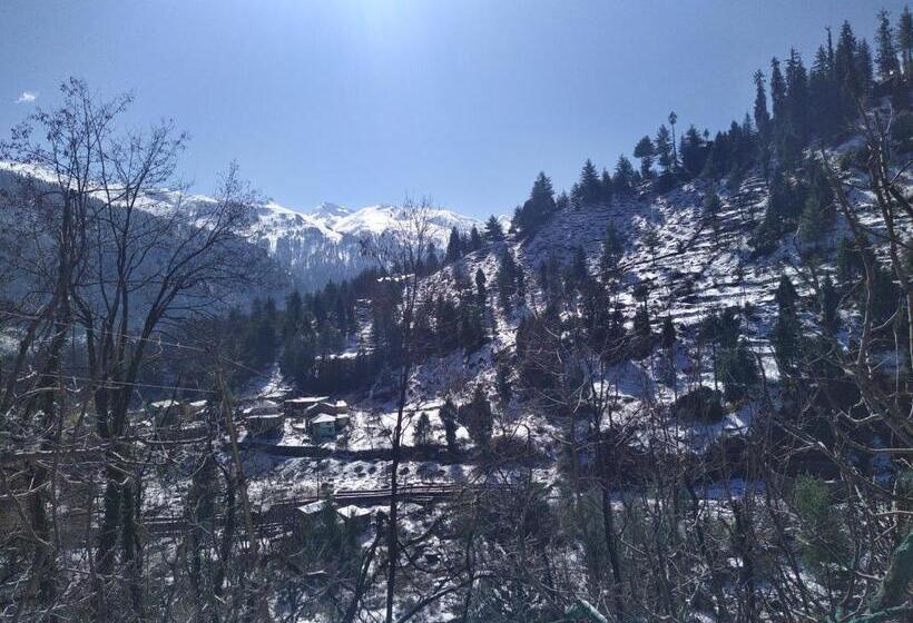 Attic Monkey Hostel Old Manali