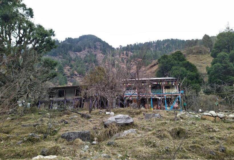 Attic Monkey Hostel Old Manali