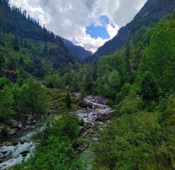 Attic Monkey Hostel Old Manali