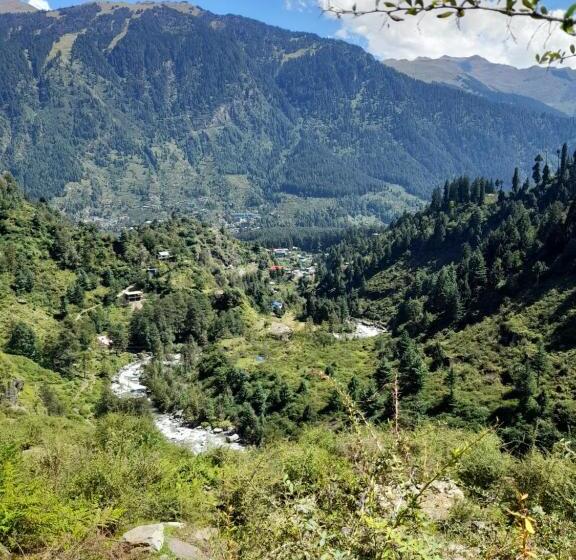Attic Monkey Hostel Old Manali
