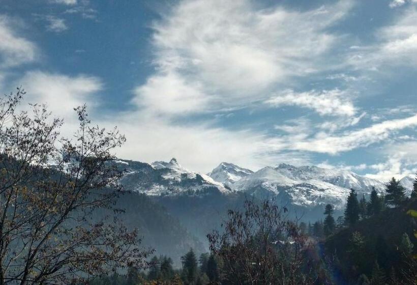 Attic Monkey Hostel Old Manali