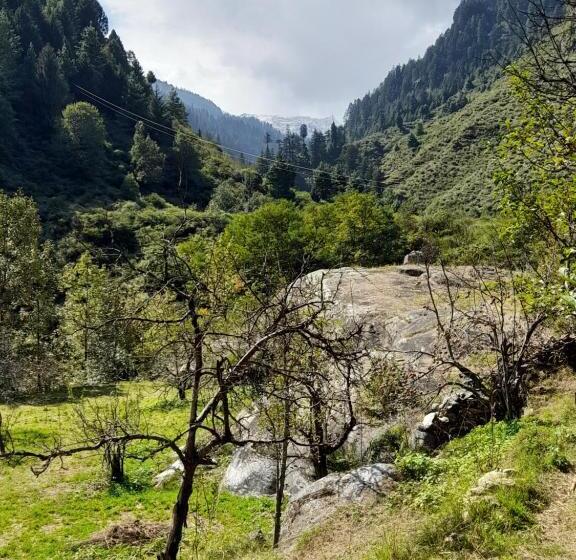 Attic Monkey Hostel Old Manali