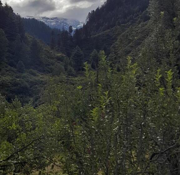 Attic Monkey Hostel Old Manali