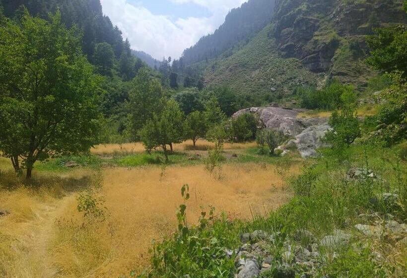 Attic Monkey Hostel Old Manali