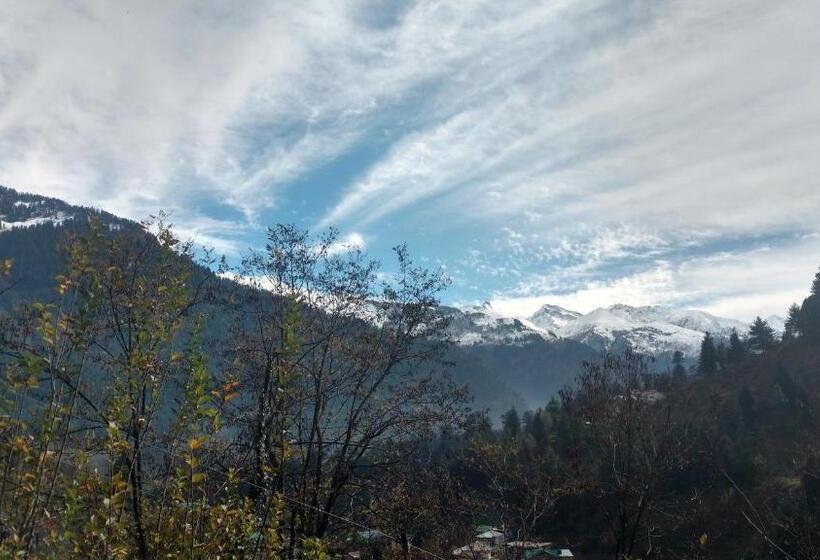 Attic Monkey Hostel Old Manali