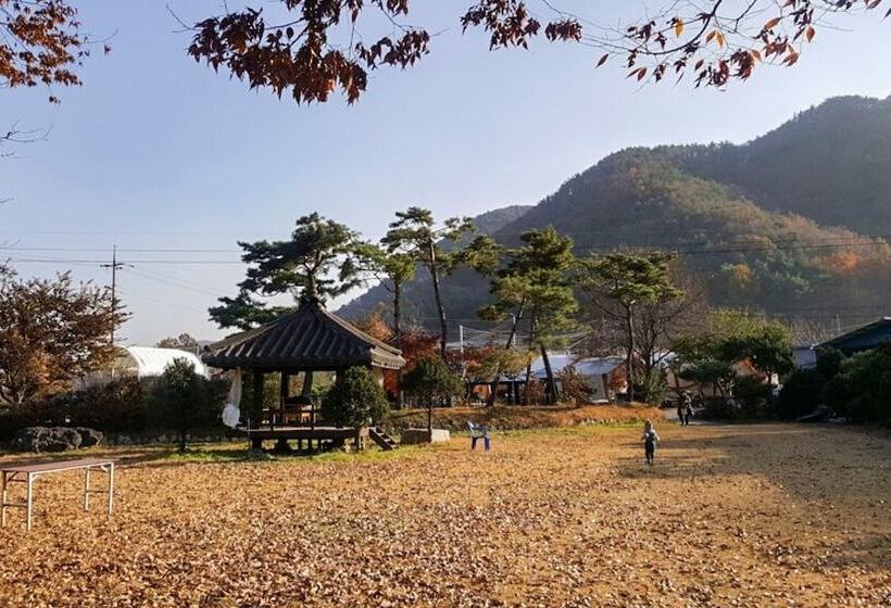 Hotel Boeun Glamping