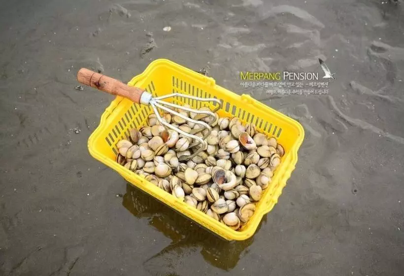 Hotelli Gochang Merpang Pension