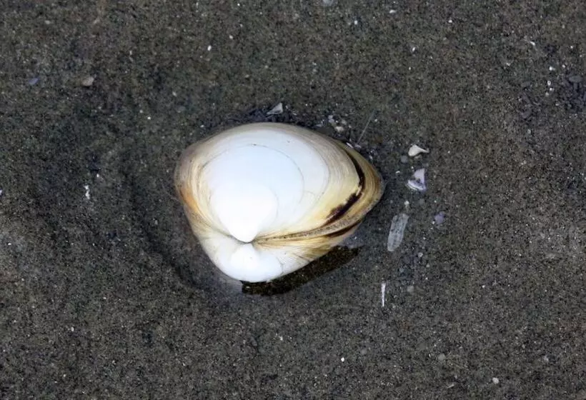 Hotelli Gochang Merpang Pension