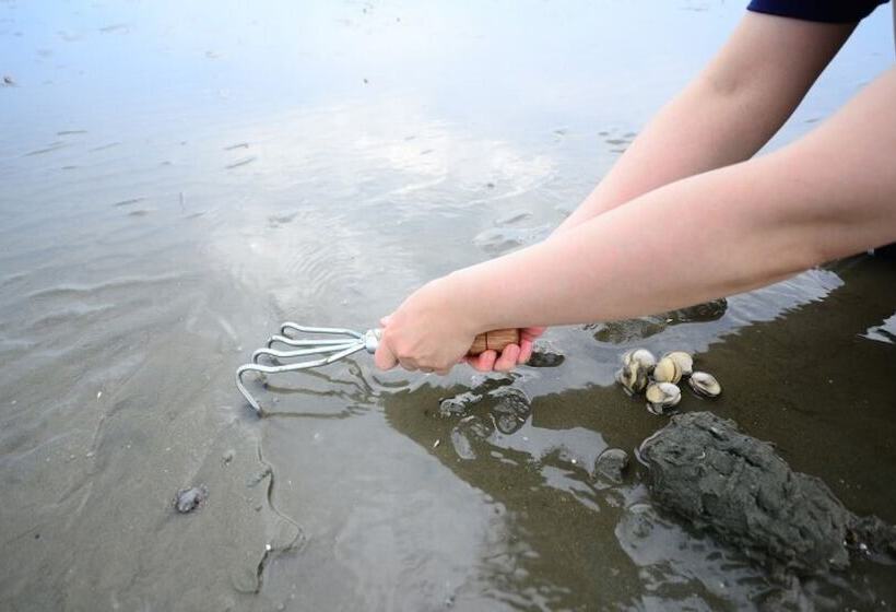 בית מלון כפרי Gochang Merpang Pension