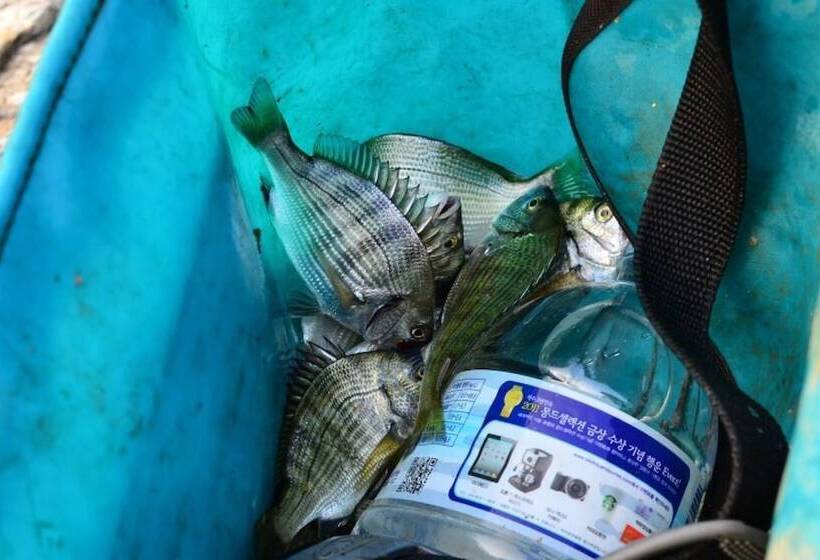 בית מלון כפרי Gochang Merpang Pension