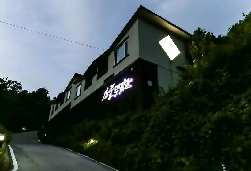 ホテル Jeungpyeong Sopung