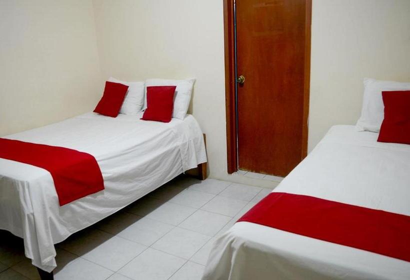 هتل Rosa Del Alba