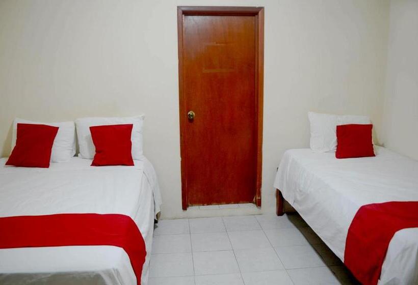 هتل Rosa Del Alba