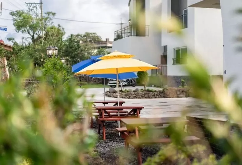 ホテル Seogwipo Tamradoda Pension