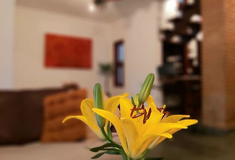 Otel Cantinho Primavera Caraguatatuba