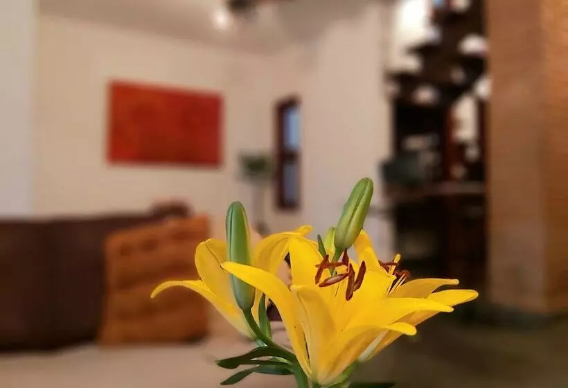 Hotelli Cantinho Primavera   Caraguatatuba