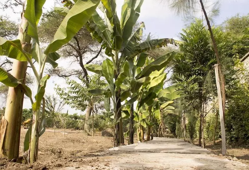 هتل Airport Planet Lodge At Kilimanjaro Airport