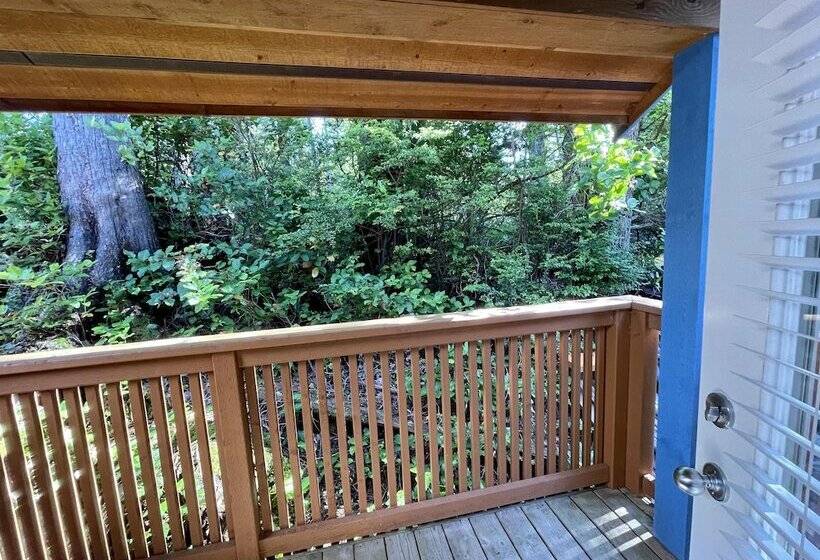 ホテル Sea Star Cabin