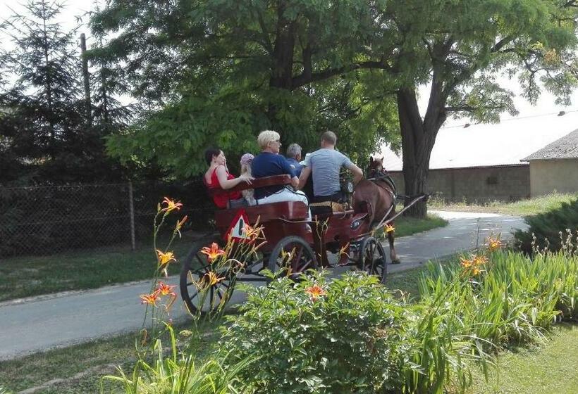 호스텔 Swieże Poddasze U Przybyszów