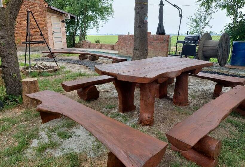 호텔 Kogutowo Agroturystyka Mpr