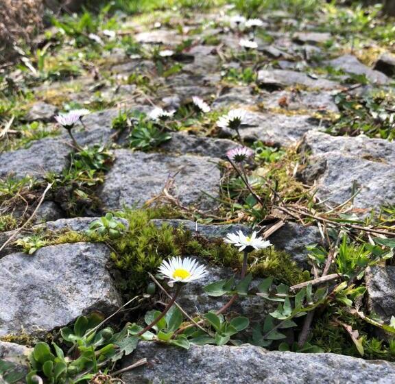 בית מלון כפרי Sady Błotnica Dom Gościnny