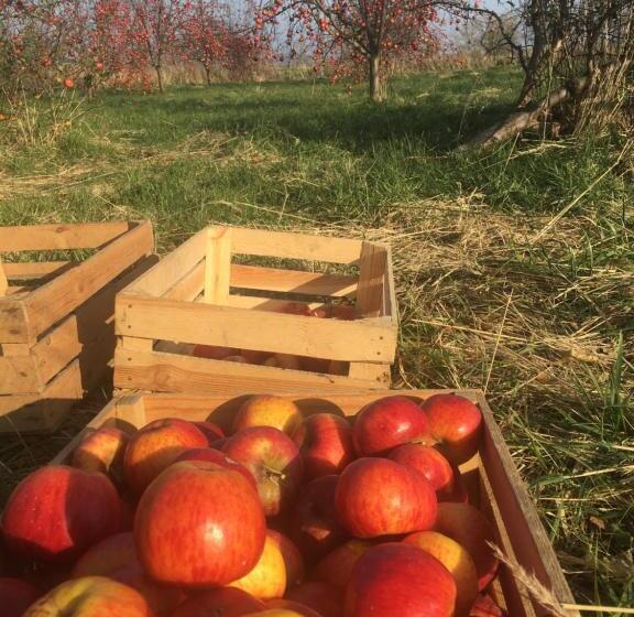 בית מלון כפרי Sady Błotnica Dom Gościnny