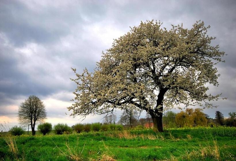 בית מלון כפרי Sady Błotnica Dom Gościnny