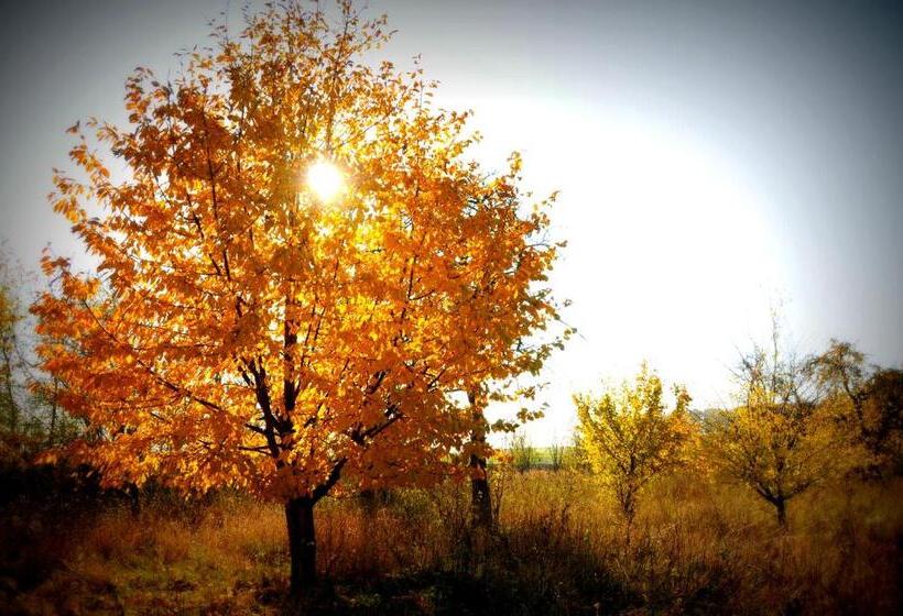 בית מלון כפרי Sady Błotnica Dom Gościnny