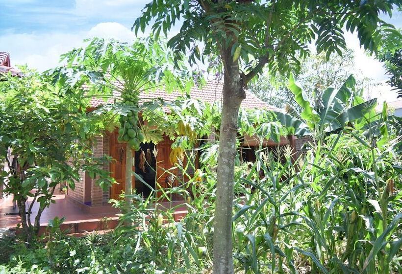 هتل Van Long Family Homestay