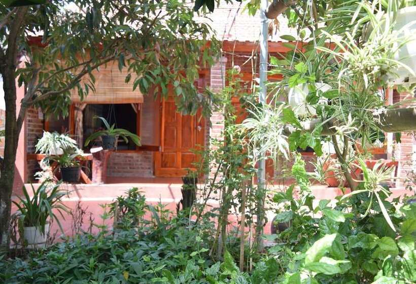 هتل Van Long Family Homestay