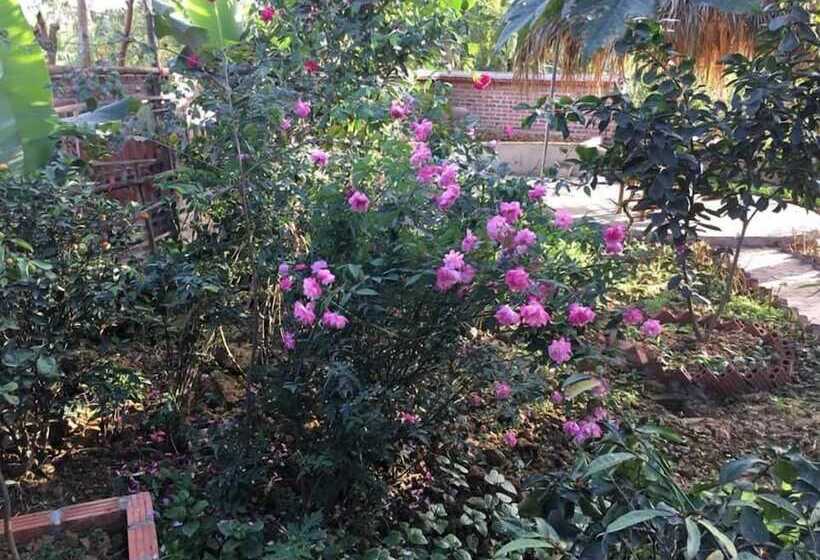 هتل Van Long Family Homestay