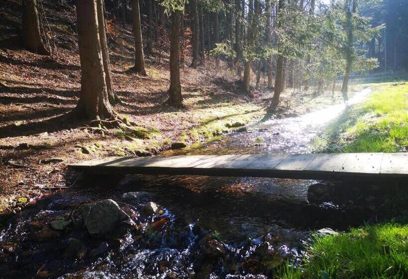 ホテル Agroturystyka Cieślarówka